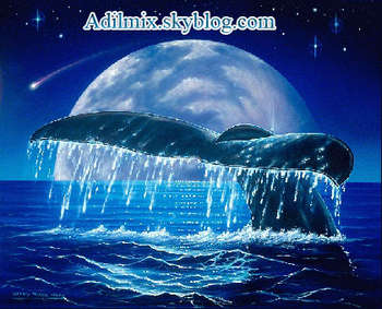 notez mon skyblog